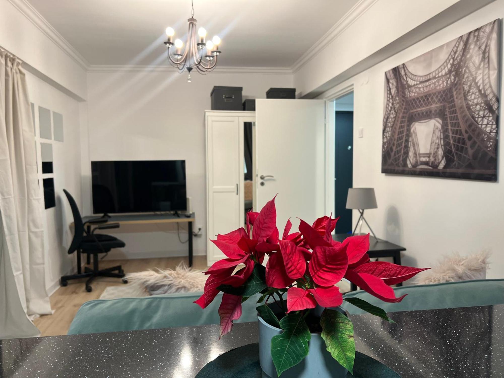 Cosy Studio Floreasca Boekarest Buitenkant foto