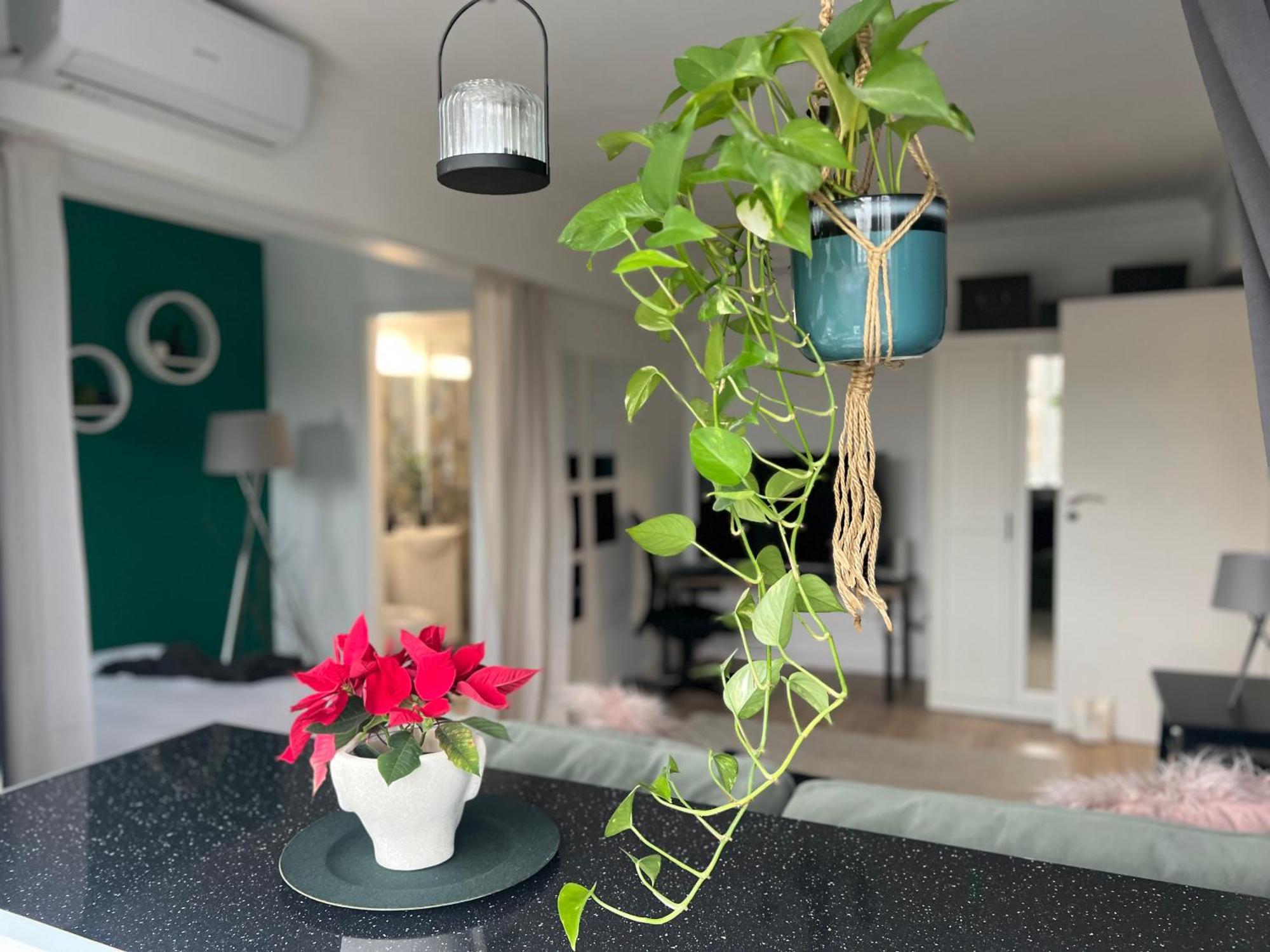 Cosy Studio Floreasca Boekarest Buitenkant foto